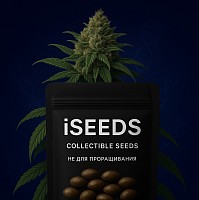 ISeeds &mdash; коллекционные семена, эксклюзивный бренд, ограниченный тираж, сувенирный подарок для ценителей уникальных растений.&rdquo;