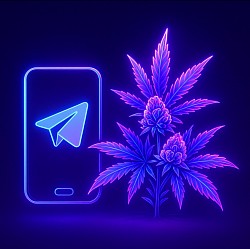 О